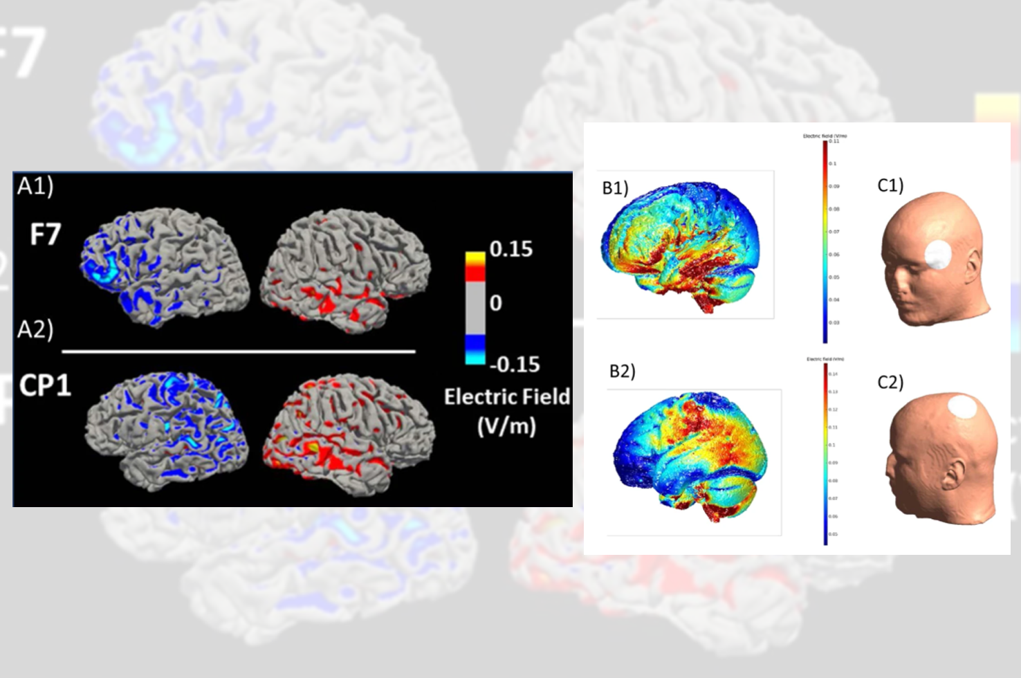 Bertocci et al. Molecular Psychiatry 2019 Bertocci et al. Molecular Psychiatry 2019