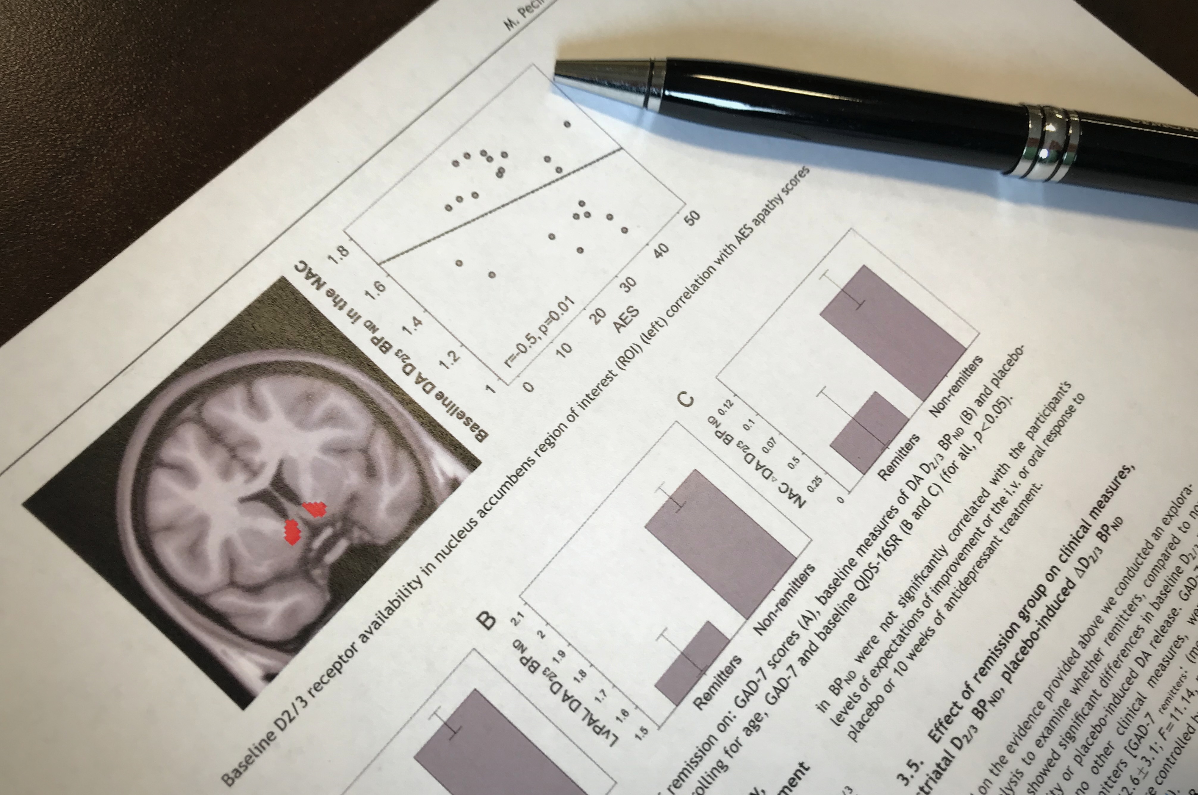 Pecina et al. European Neuropsychopharmacology 2017