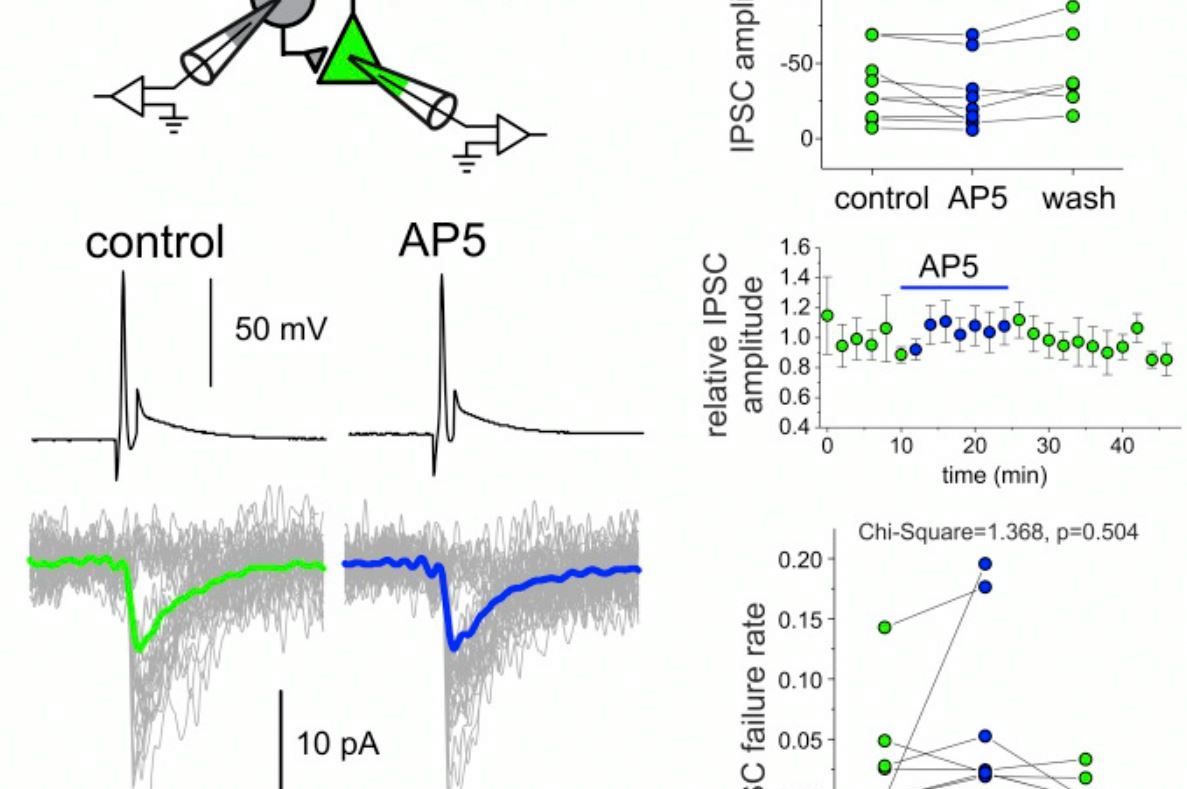 Gonzalez-Burgos and Colleagues Biol Psych 2018 Figure Gonzalez-Burgos and Colleagues Biol Psych 2018 Figure