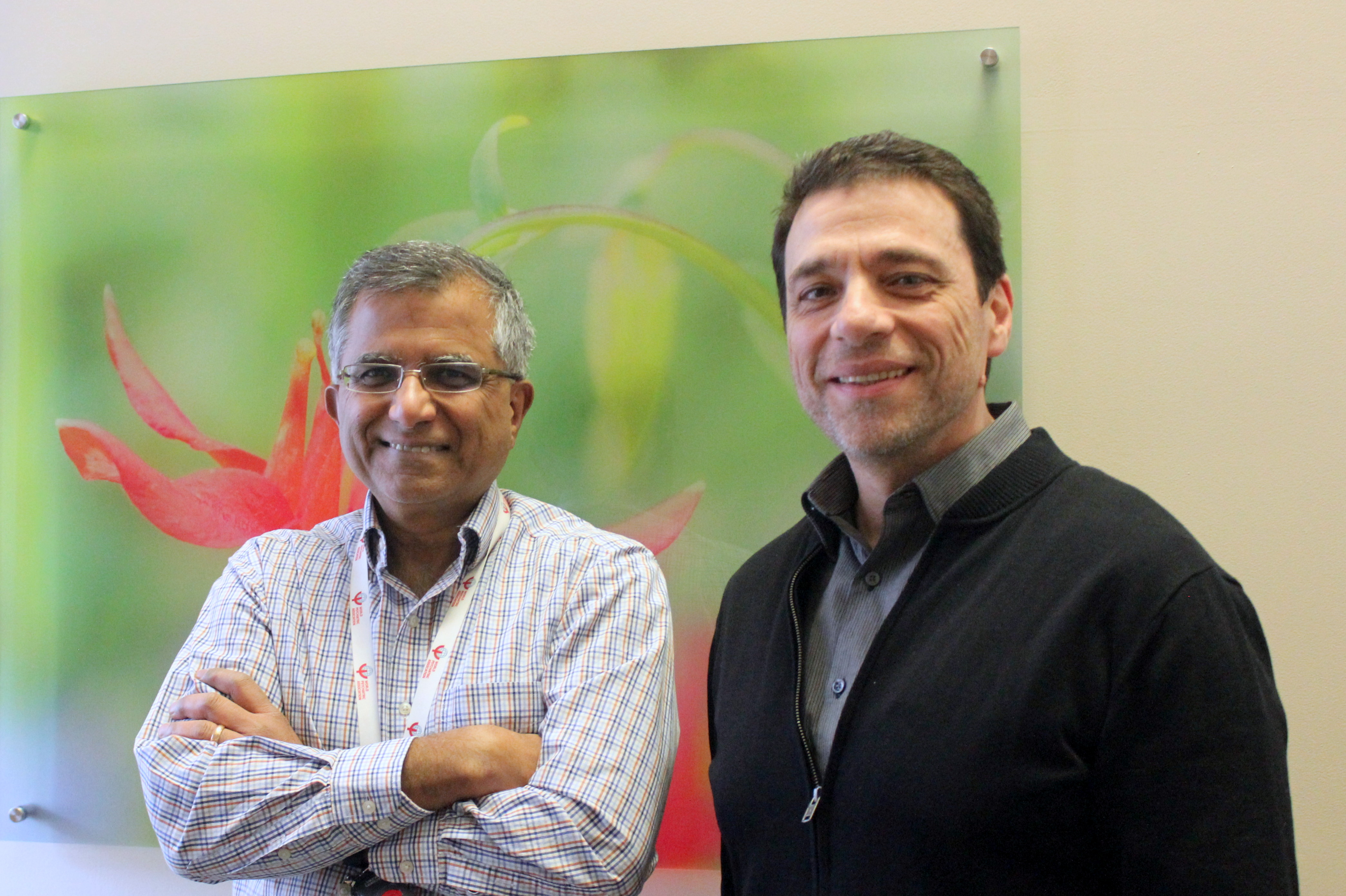 Drs. Leonardo D'Aiuto and Vishwajit Nimgaonkar