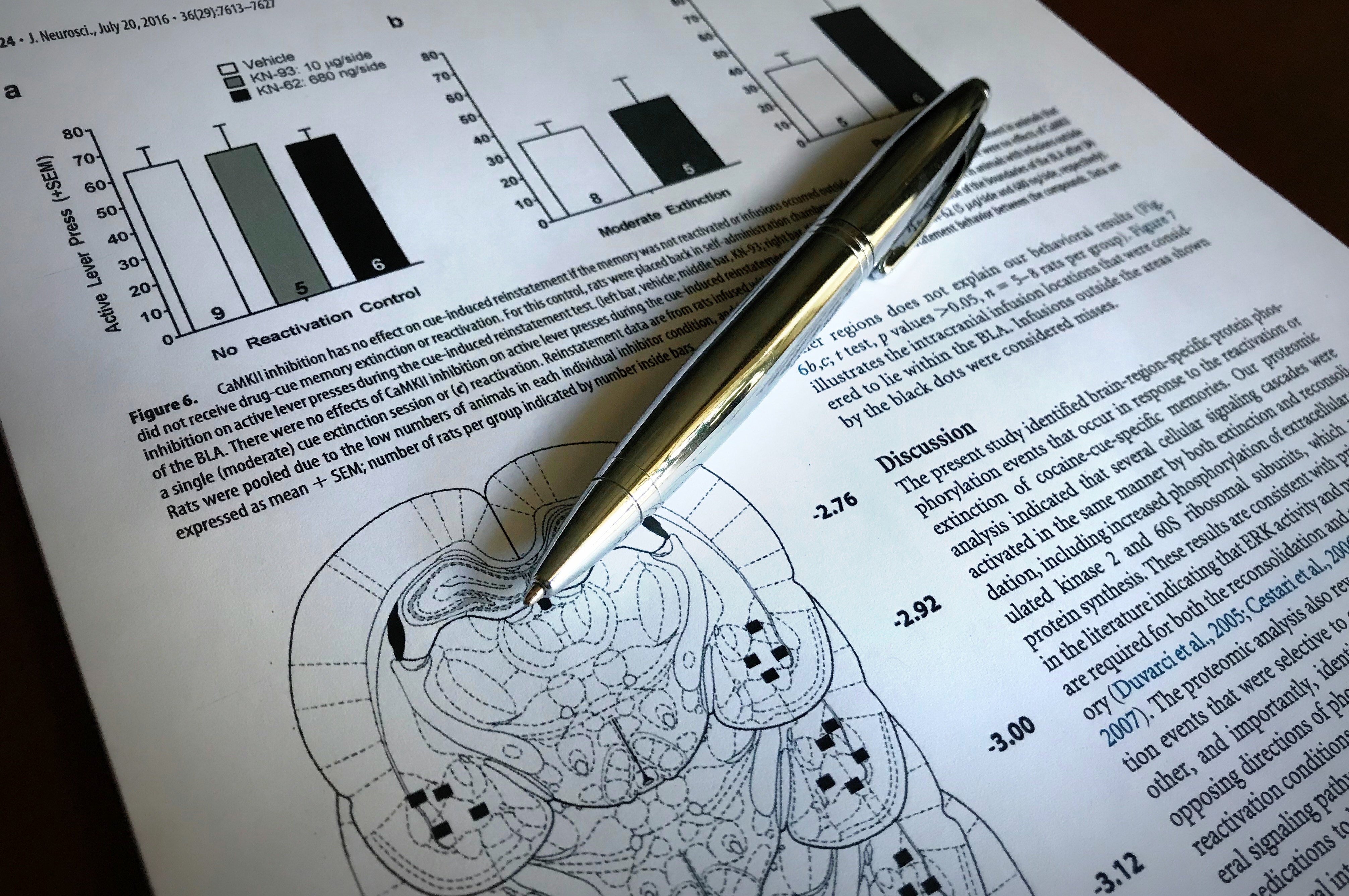 Torregrossa et al. Psychopharmacology 2019