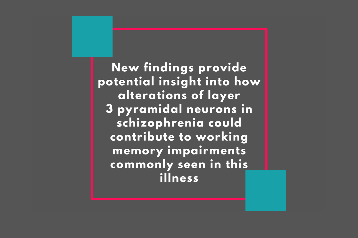 Gonzalez-Burgos et al. 2019 Journal of Neuroscience Gonzalez-Burgos et al. 2019 Journal of Neuroscience