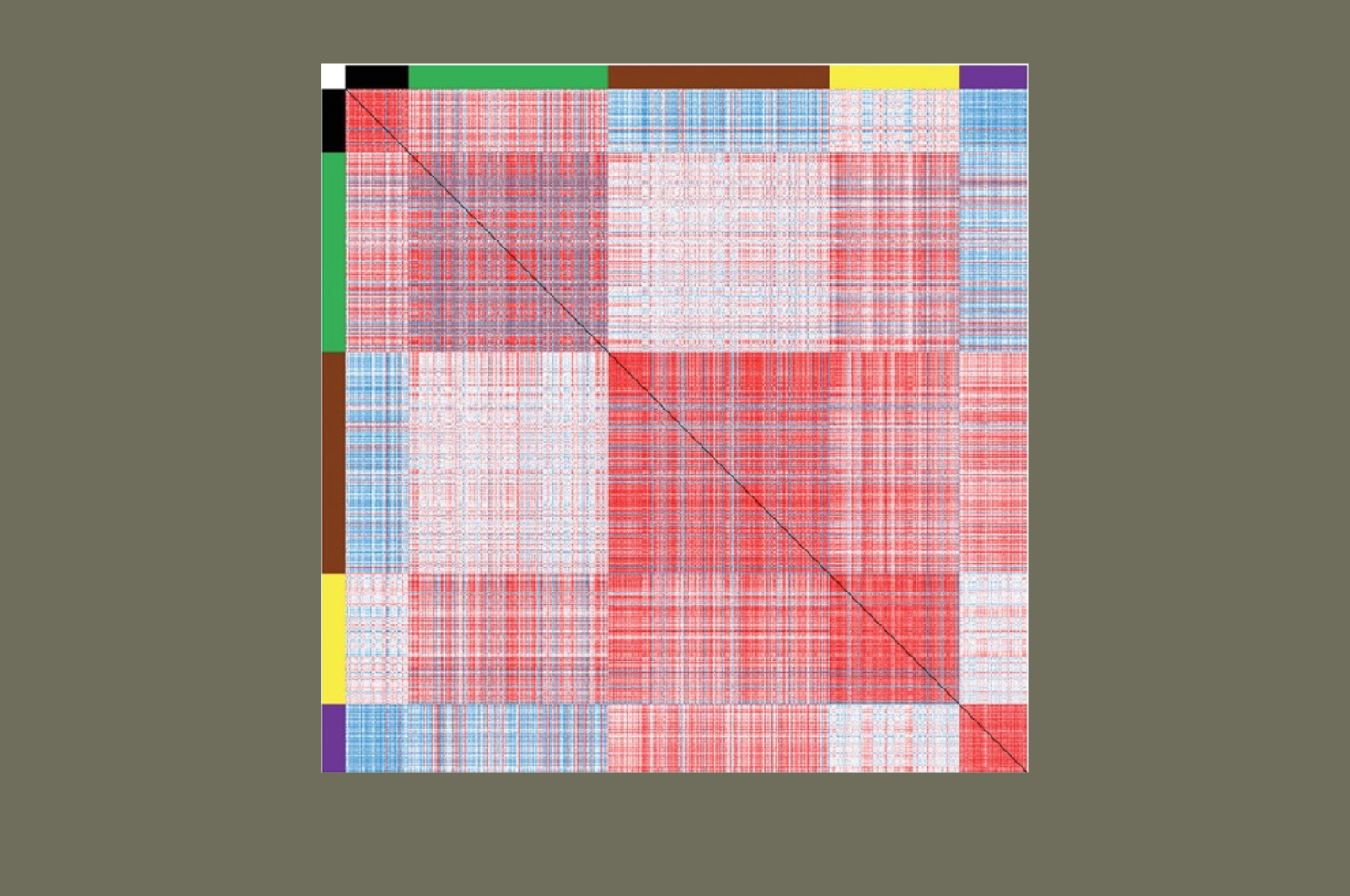 Glausier et al AJP 2021 Glausier et al AJP 2021