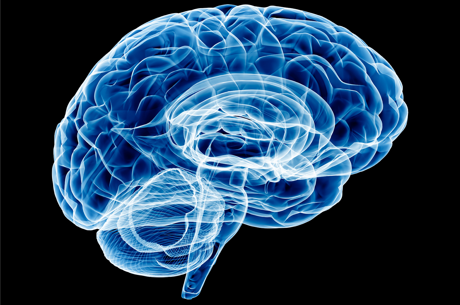 New Research: The Molecular Biology of the Human Brain New Research: The Molecular Biology of the Human Brain