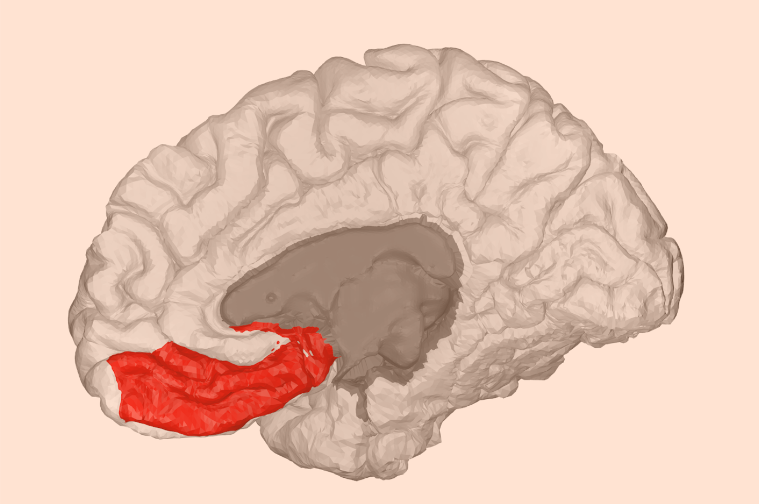 Pecina et al. Biological Psychiatry: Neuroscience and Neuroimaging 2021