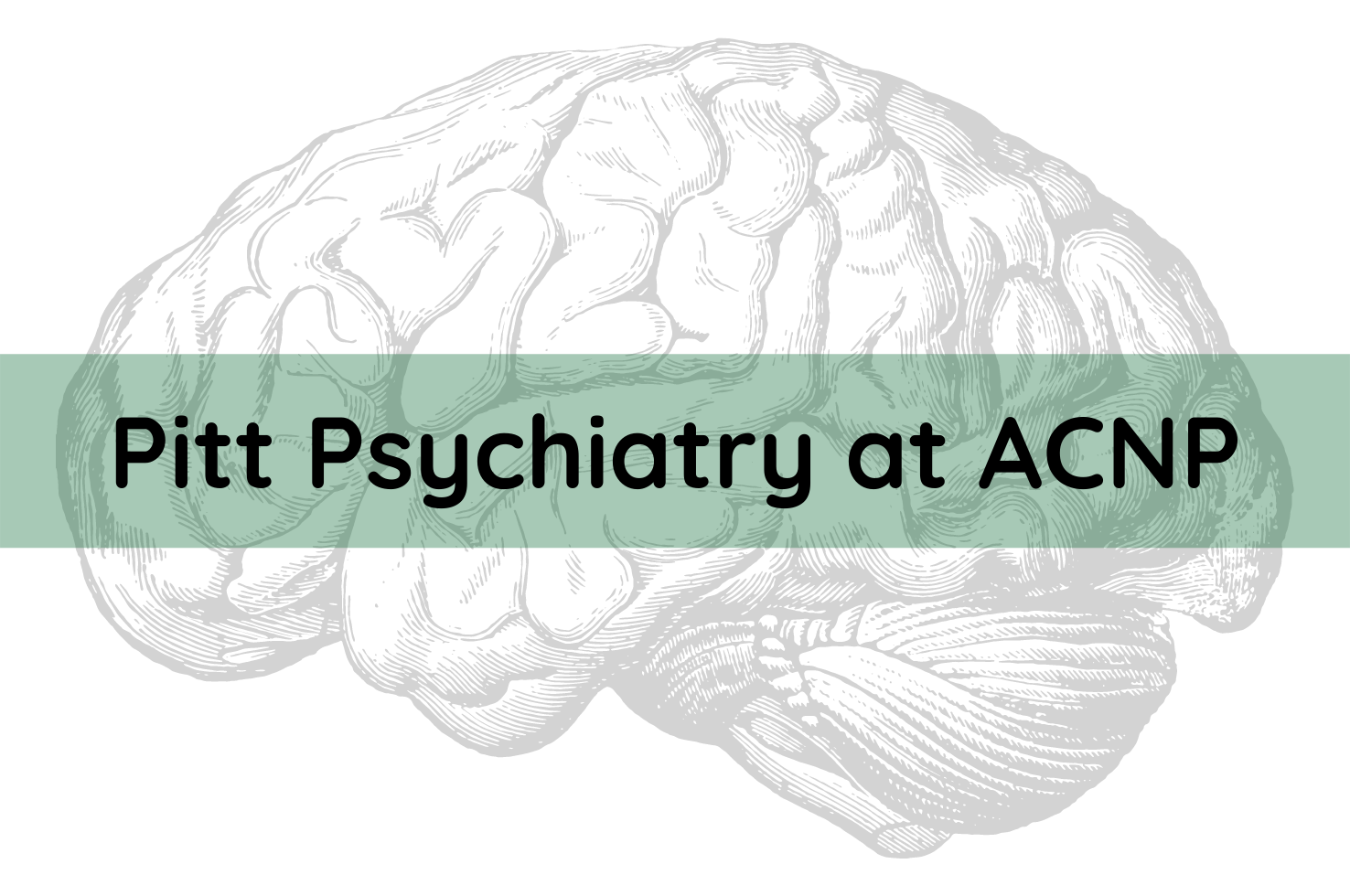 News from ACNP 2021 News from ACNP 2021