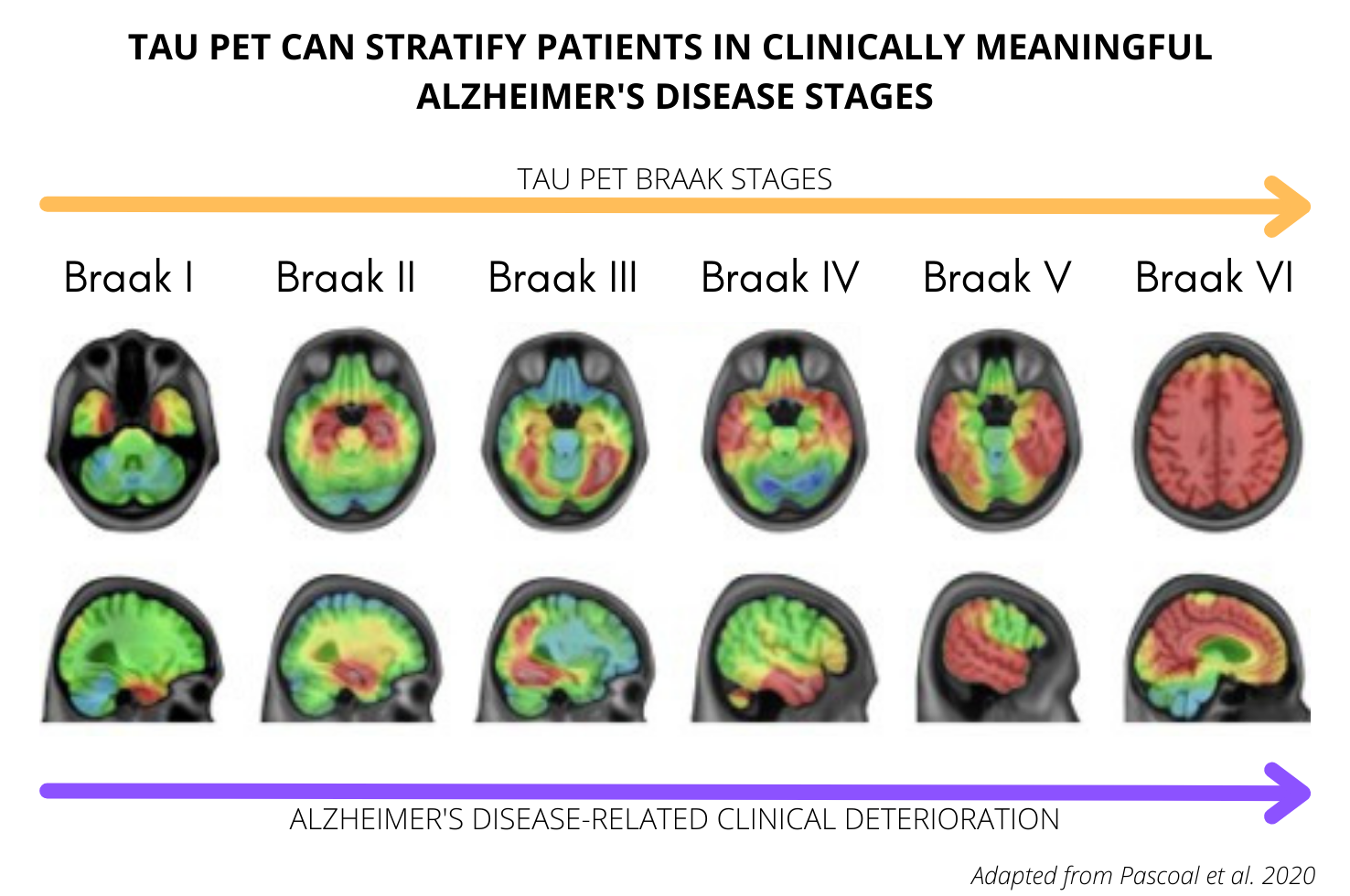 Pitt Psychiatry Faculty Members Invited to Contribute to World Alzheimer Report 