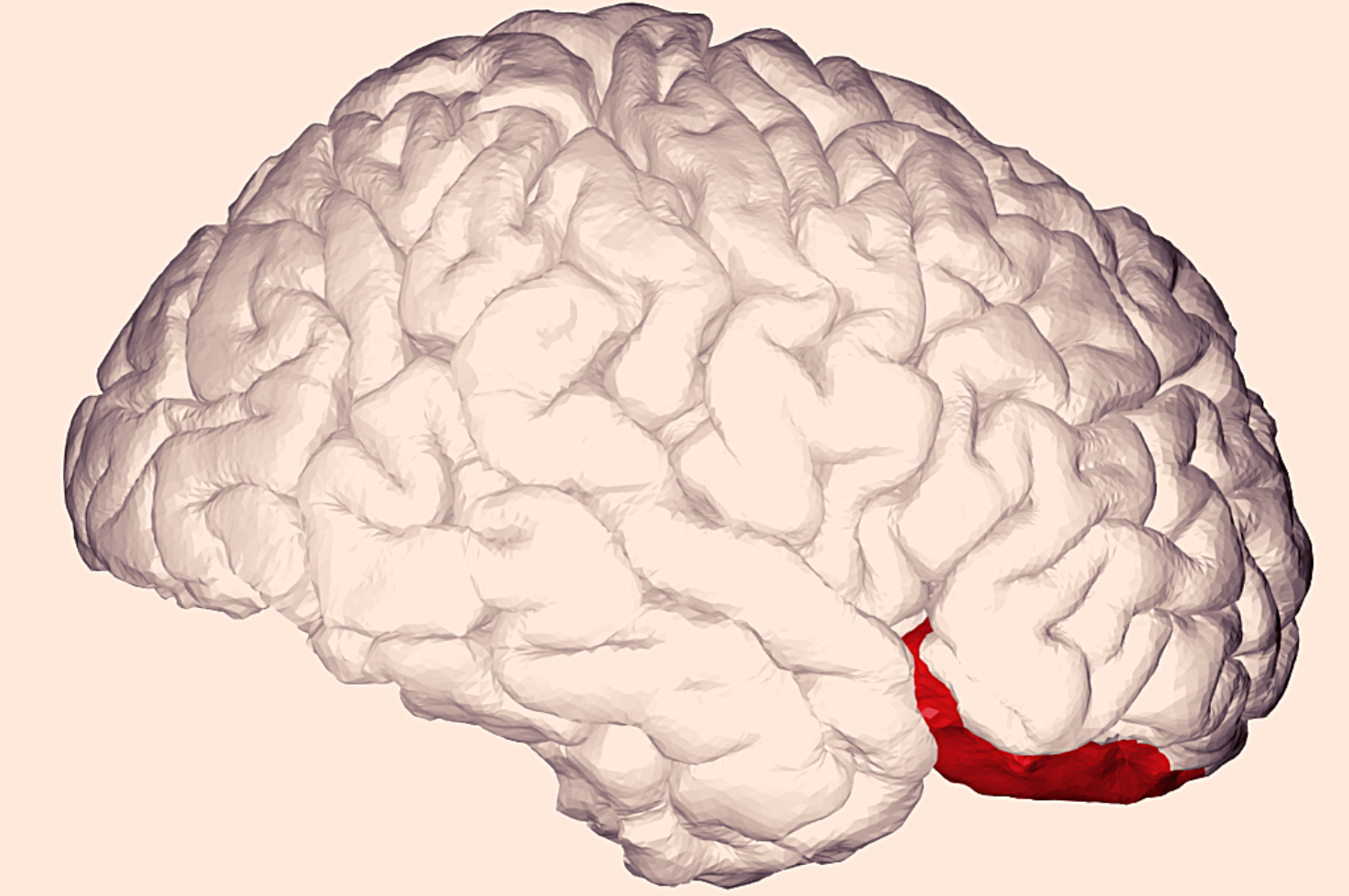 Ahmari & Colleagues Biological Psychiatry 2022 Ahmari & Colleagues Biological Psychiatry 2022