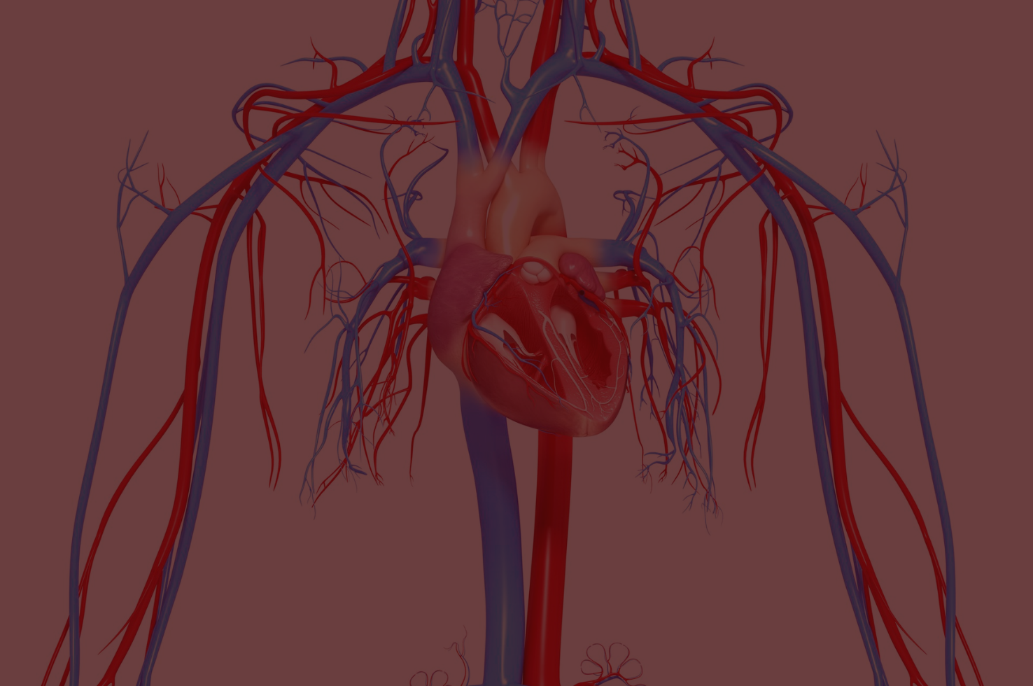 New Research on Interpersonal Trauma and Heart Disease in Women New Research on Interpersonal Trauma and Heart Disease in Women