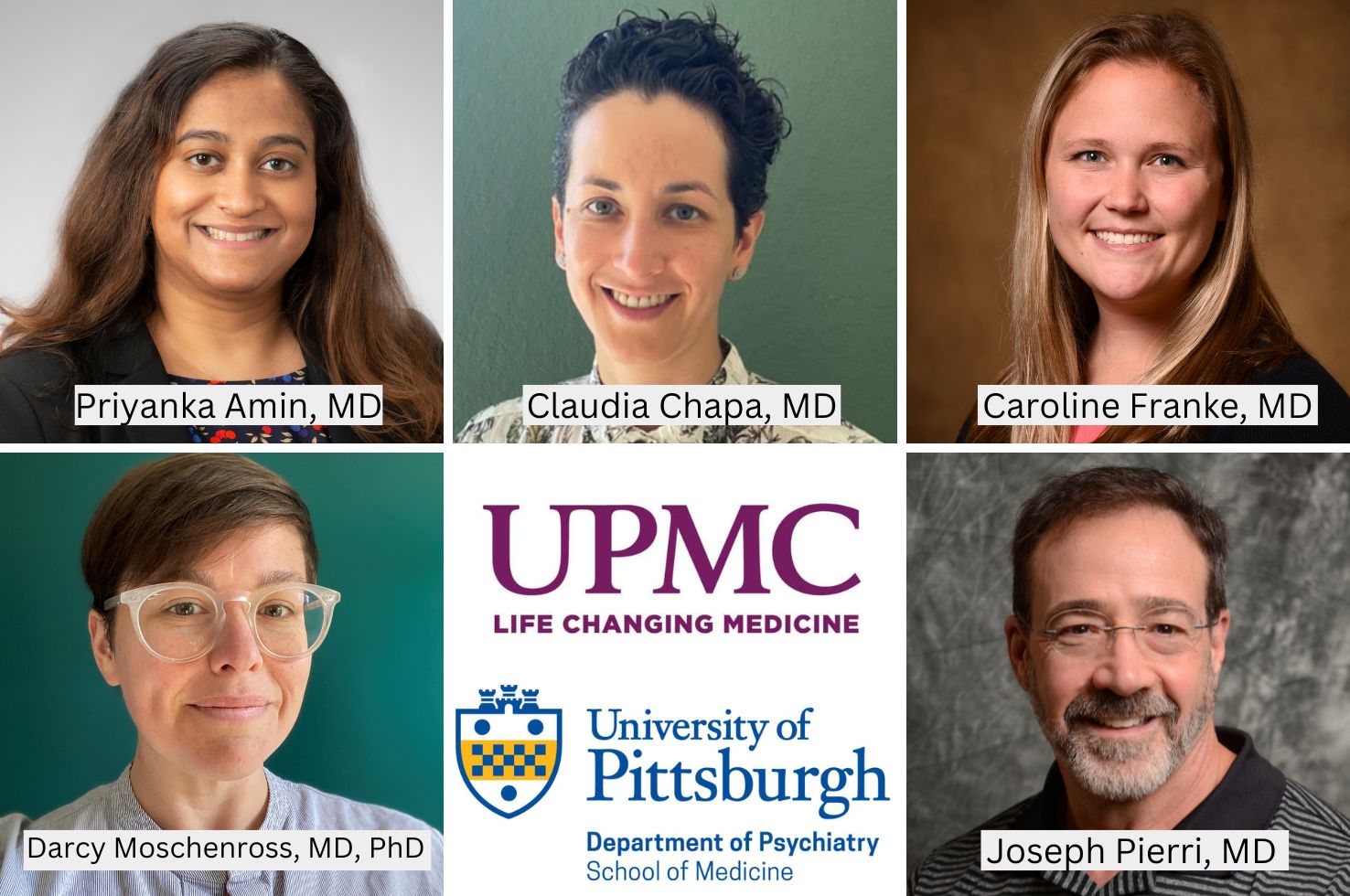 Drs. Amin, Chapa, Franke, Moschenross, and Pierri Honored with UPMC Awards