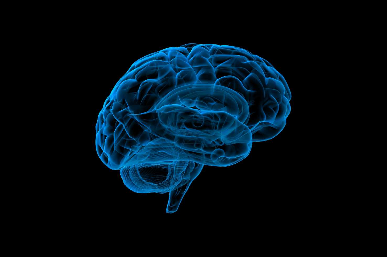 Brain Image Brain Image
