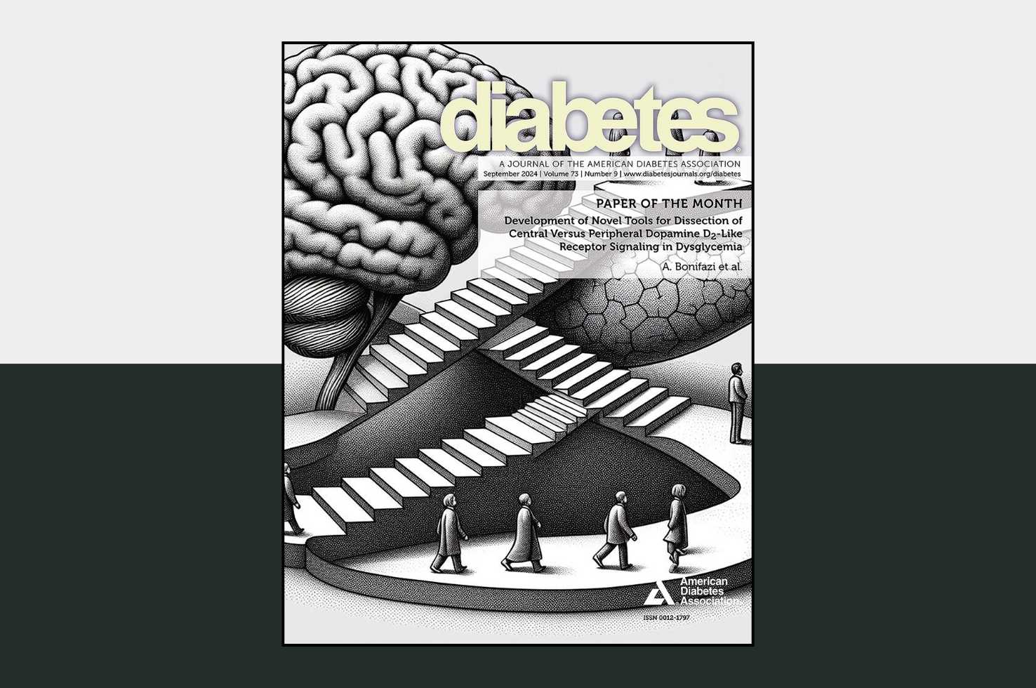 Diabetes Diabetes