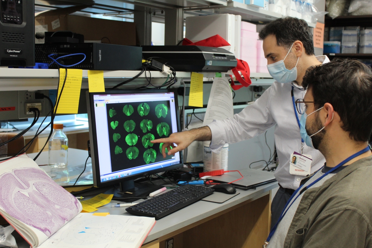 Two PRP residents examining data