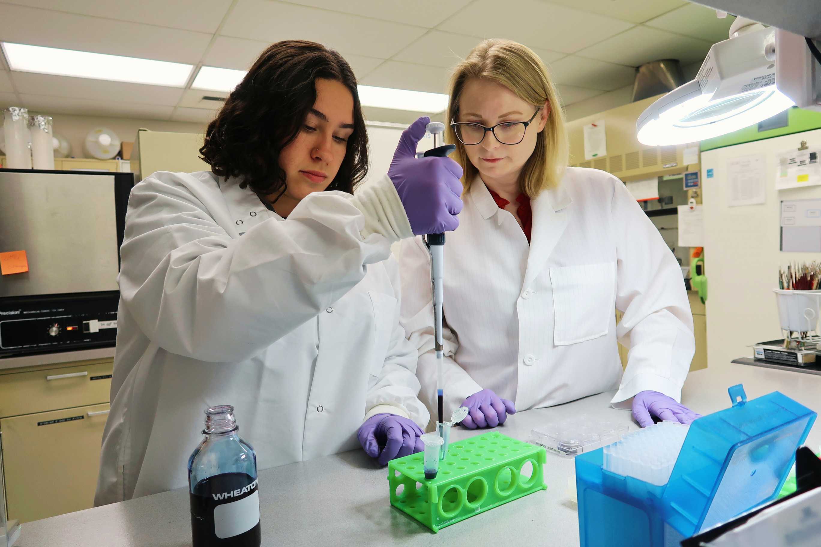 Undergraduate Research Training
