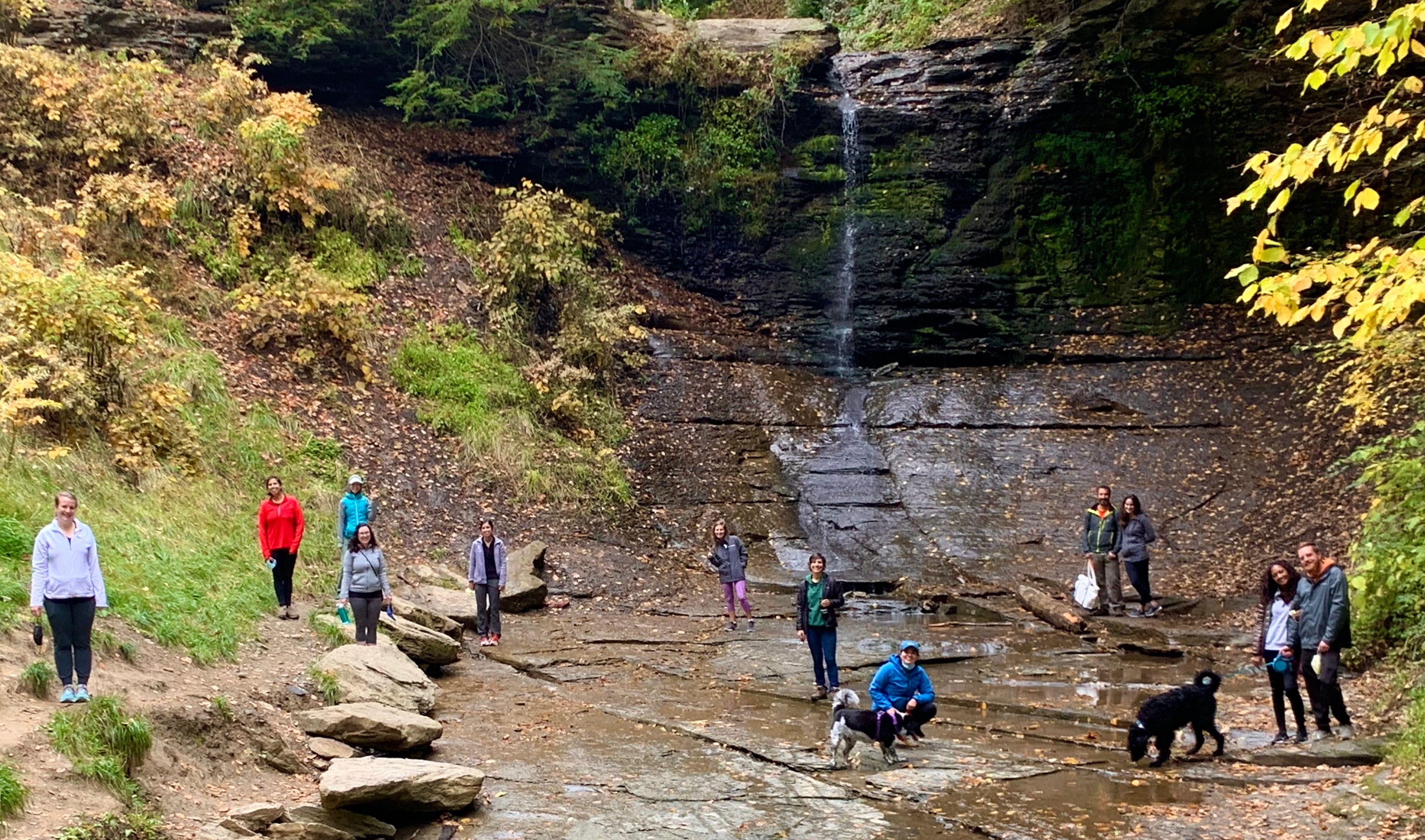 Residents Enjoy A Walk in Fall Run Park