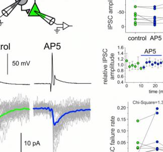 Gonzalez-Burgos and Colleagues Biol Psych 2018 Figure