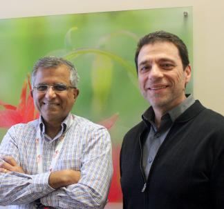 Drs. Leonardo D'Aiuto and Vishwajit Nimgaonkar