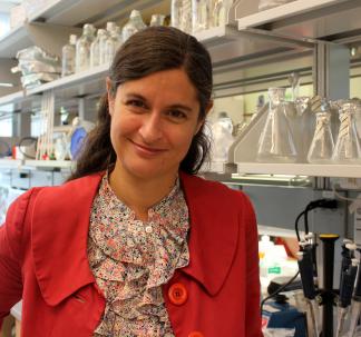Dr. Susanne Ahmari