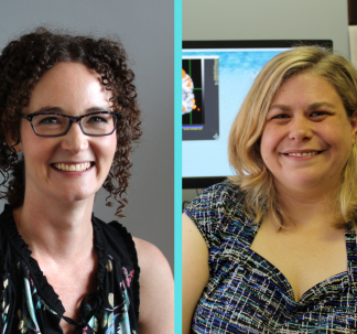 Drs. Rebecca Price and Kymberly Young Receive Laurel Zaks Awards