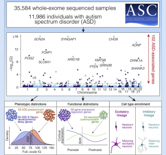 Devlin & Colleagues, Cell 2020