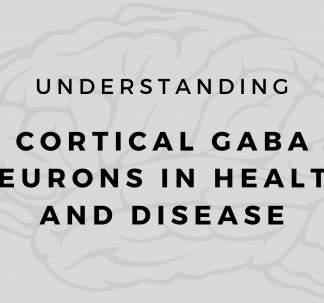 New Research in Biological Psychiatry & Cerebral Cortex 