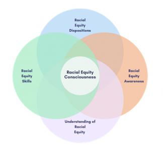 Racial Equity Consciousness Institute