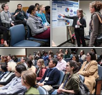 Collage from 2024 Clinician Educator Showcase