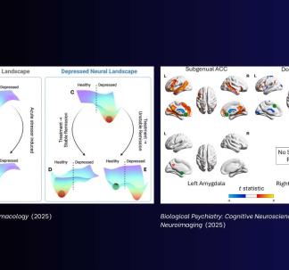 Neuropsychopharmacology and Biological Psychiatry: CNNI