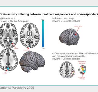 Images from Ladouceur & Colleagues Translational Psychiatry 2025